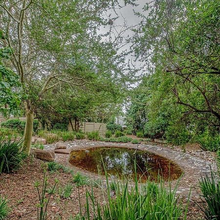 Wild Olive Executive Suite Johannesburg Luaran gambar