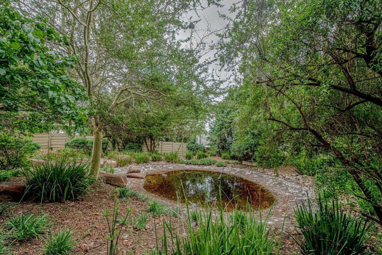 Wild Olive Executive Suite Johannesburg Luaran gambar