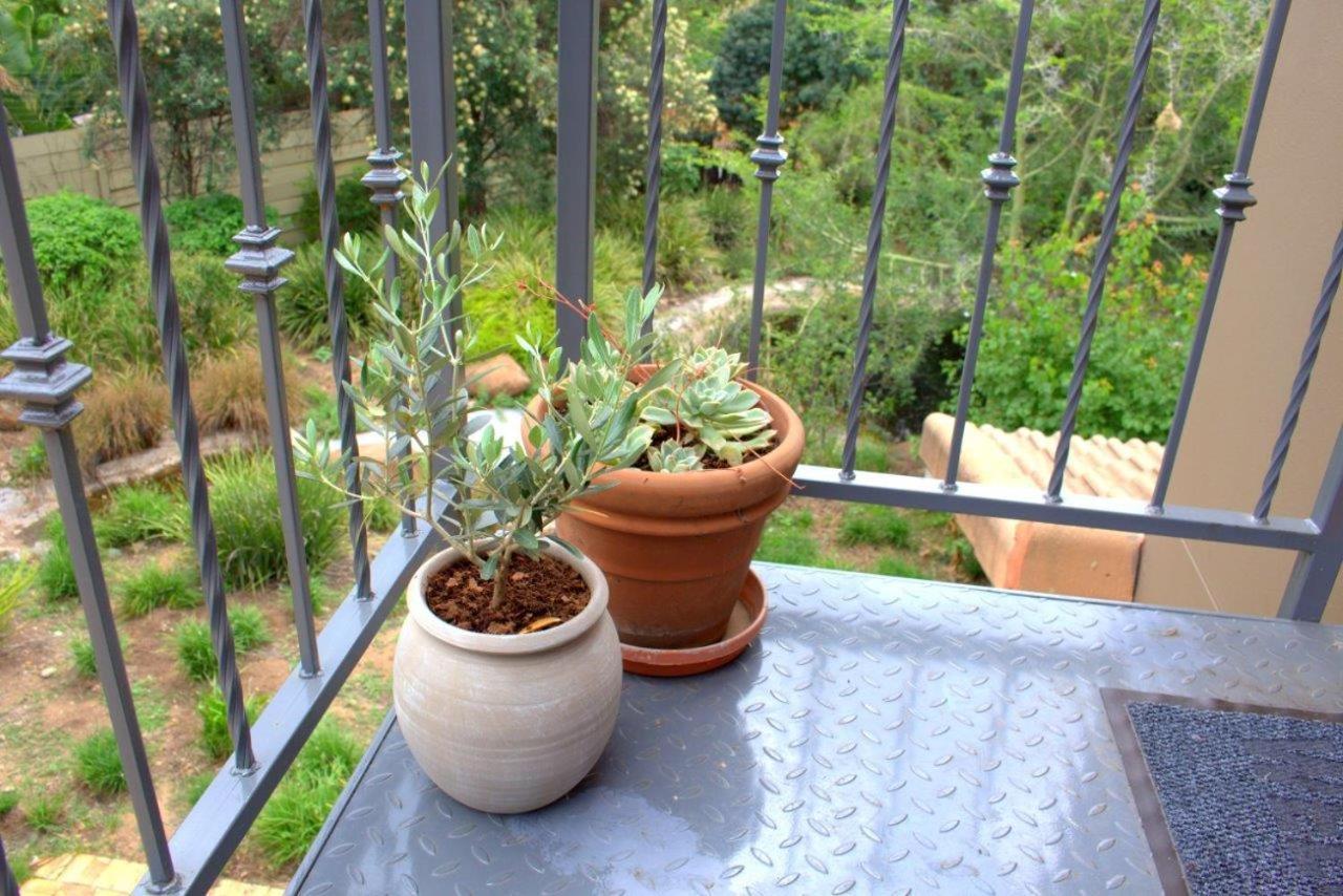 Wild Olive Executive Suite Johannesburg Luaran gambar
