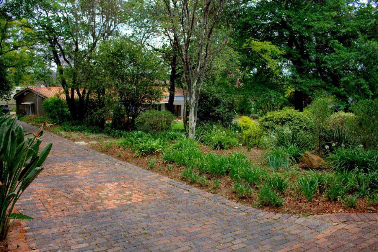 Wild Olive Executive Suite Johannesburg Luaran gambar