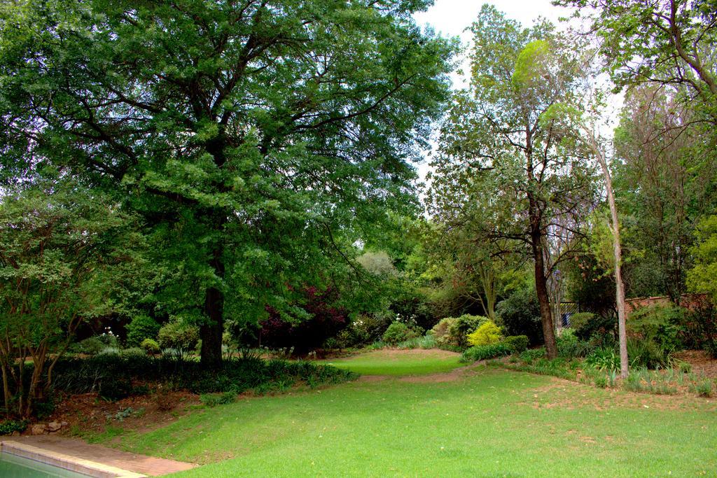 Wild Olive Executive Suite Johannesburg Luaran gambar
