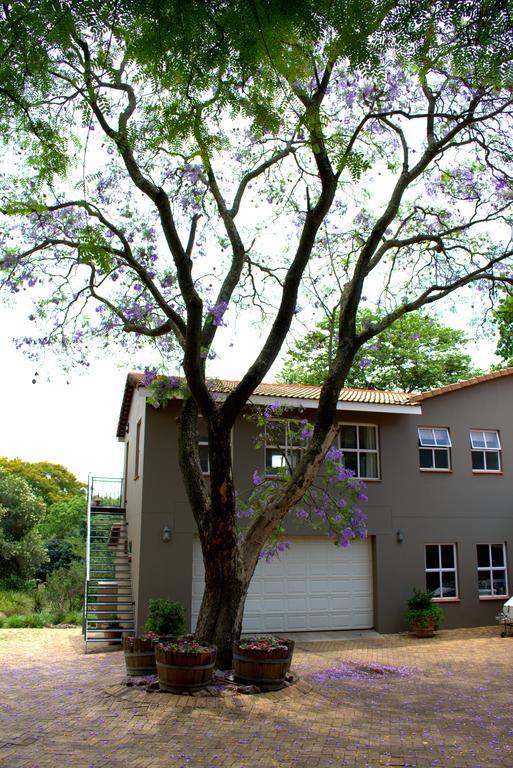 Wild Olive Executive Suite Johannesburg Luaran gambar